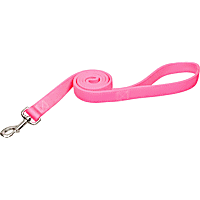 Coastal Pet Double Ply Nylon Personalized Dog Leash in Neon Pink