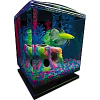 GloFish Perfect Starter Tank Aquarium Kit 1.5 Gallons
