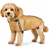 Pet Life Yellow Reflecta-Sport Adjustable Reflective Weather-Proof Pet Rainbreaker Jacket