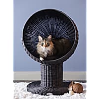 The Refined Feline Kitty Ball Bed in Espresso