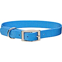 Coastal Pet Metal Buckle Nylon Personalized Dog Collar in Light Blue, 3/4" Width