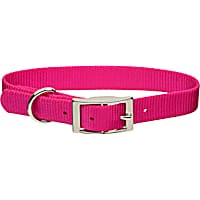 Coastal Pet Metal Buckle Nylon Personalized Dog Collar in Pink Flamingo, 3/4" Width