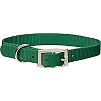Coastal Pet Metal Buckle Nylon Personalized Dog Collar in Hunter, 3/4" Width