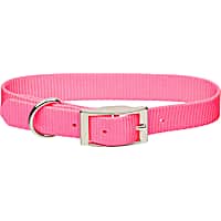 Coastal Pet Metal Buckle Nylon Personalized Dog Collar in Neon Pink, 3/4" Width