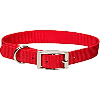 Coastal Pet Metal Buckle Nylon Personalized Dog Collar in Red, 3/4" Width