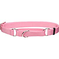 Coastal Pet Products No! Slip Personalized Martingale Pink Bright Adjustable Dog Collar