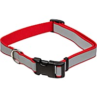 Petco light shop up collar