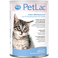 Kitten sales formula substitute