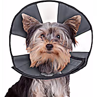 Zen Pet ZenCone Soft Recovery Collar for Dogs