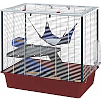 Rat Mouse Cages Petco