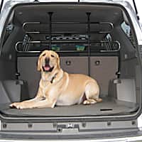Dog Car Barriers Gates Dividers Petco