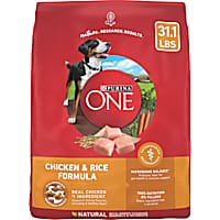 Dog Food: Quality Nutrition For Every Dog