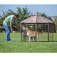 Advantek Pet Gazebo