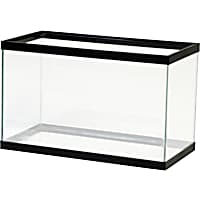 Corner fish tank petco online