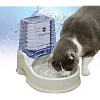 Cat Water Fountains Filters Petco Page 2