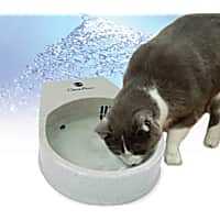 K&H Cat Clean Flow Filter Water Bowl for Cats