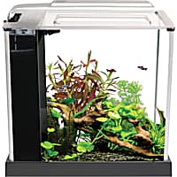 Corner fish cheap tank petco