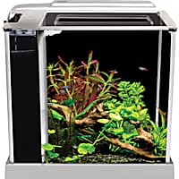 Fluval Spec III Aquarium Kit in White