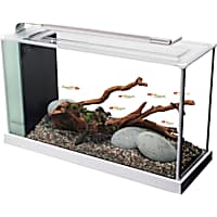 38 gallon aquarium petco sales