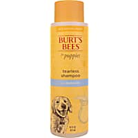 Chlorhexidine dog shampoo petco hotsell