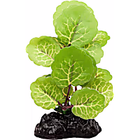 Imagitarium Betta Plant