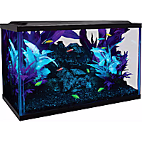 GloFish Aquarium Kit 10 Gallons Includes LED Lighting and Filter