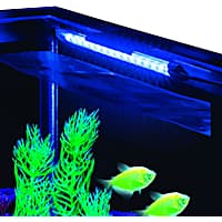 Aquarium Lighting Fish Tank Lights Aquarium Hoods Petco