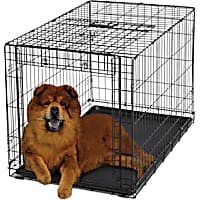 Midwest Ovation Single Door Folding Dog Crate
