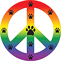 Imagine This Magnet Peace Dog Rainbow