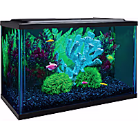 GloFish Aquarium Kit 5 Gallons Includes LED Lighting and Filter