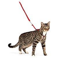 PetSafe Gentle Leader Come with Me Kitty Harness & Bungee Leash in Red