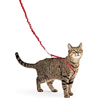 Petco cat hot sale leash