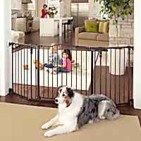 MyPet Extra Wide Windsor Arch Petgate