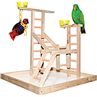 Bird Perches Swings Playstands Petco