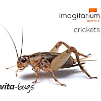 Imagitarium Vita-Bugs Crickets