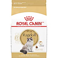 Royal Canin Feline Breed Nutrition Ragdoll Adult Dry Cat Food