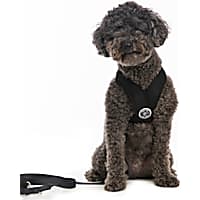 Gooby Choke Free Comfort X Soft Harness, Black