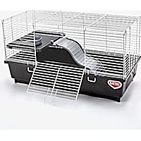 Petco mice cages shop