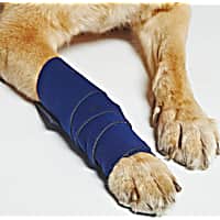 Dog Bandages Wound Care Petco
