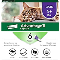 Cheristin petco deals