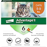 Petco frontline for cats top