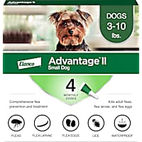 Flea Medicine for Dogs Flea Tick Prevention Petco