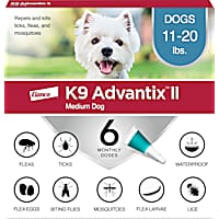 Flea and tick and mosquito control online for dogs