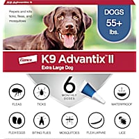 Flea medicine for online dogs near me