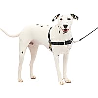 Dog Harnesses Petco