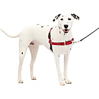 PetSafe Easy Walk Harness in Red