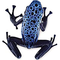 Petsmart frogs cheap