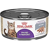 Royal Canin Feline Health Nutrition Spayed & Neutered Loaf in Sauce Wet Cat Food