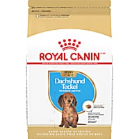 Royal Canin Breed Health Nutrition Dachshund Puppy Dry Dog Food