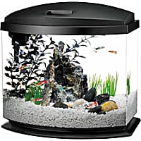Petco hot sale fish tanks